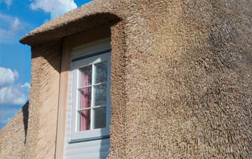 Cartbridge thatch roof disadvantages