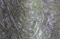 Cartbridge fibreglass roof work